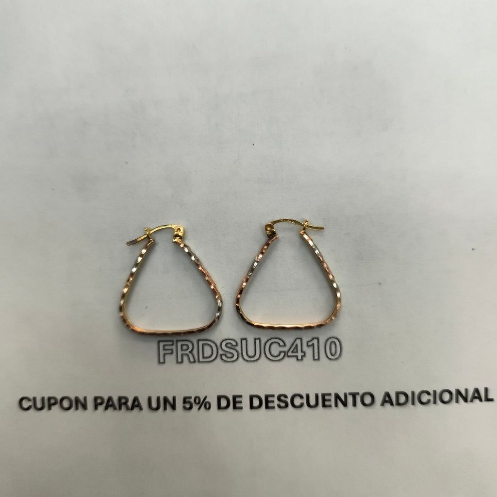 ARETES PAR ORO 10 K 2.2 GRMS (SEMINUEVO)