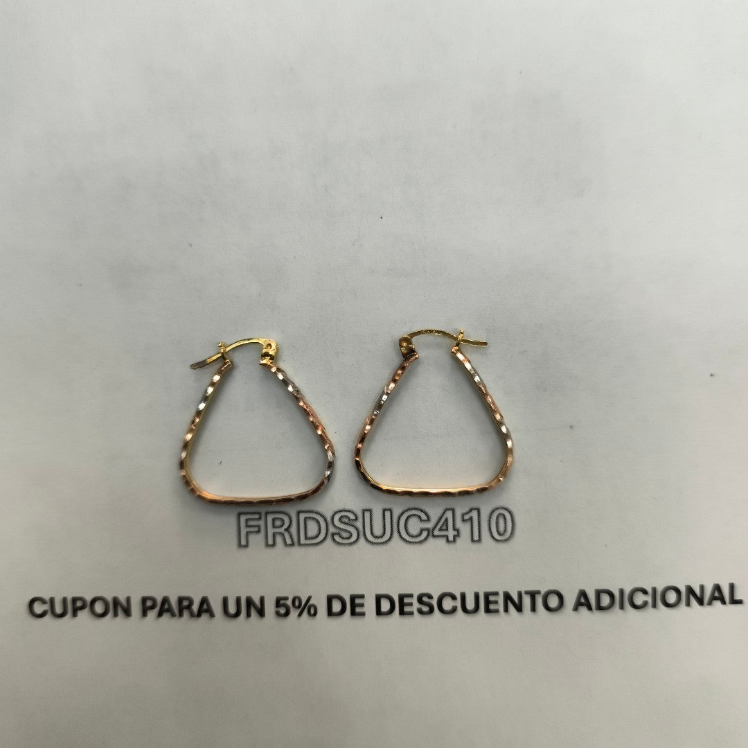 ARETES PAR ORO 10 K 2.2 GRMS (SEMINUEVO)