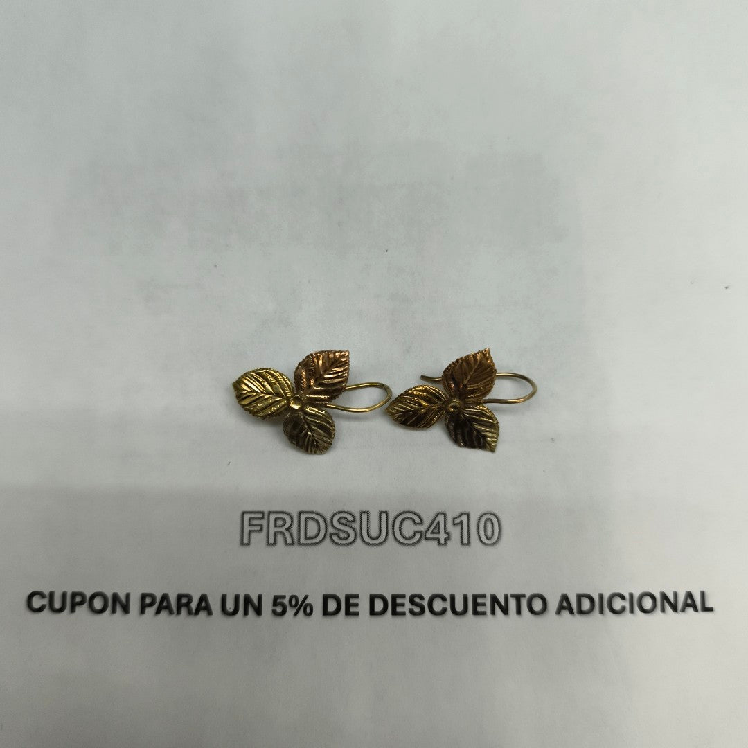 ARETES PAR ORO COMBINADO 10 K 1,50 GRMS (SEMINUEVO)