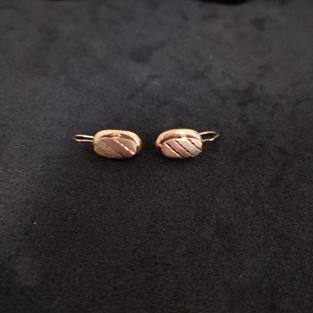 ARETES PAR ORO 10 K 1.8 GRMS (SEMINUEVO)