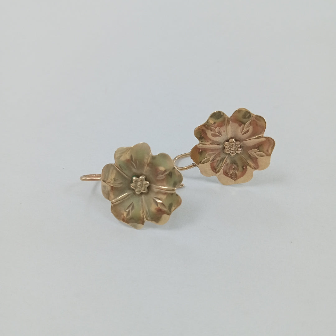 ARETES PAR ORO 10 K 2.2 GRMS (SEMINUEVO)