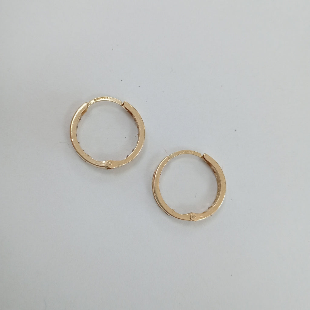 ARRACADAS PAR ORO 10 K 2.2 GRMS (SEMINUEVO)