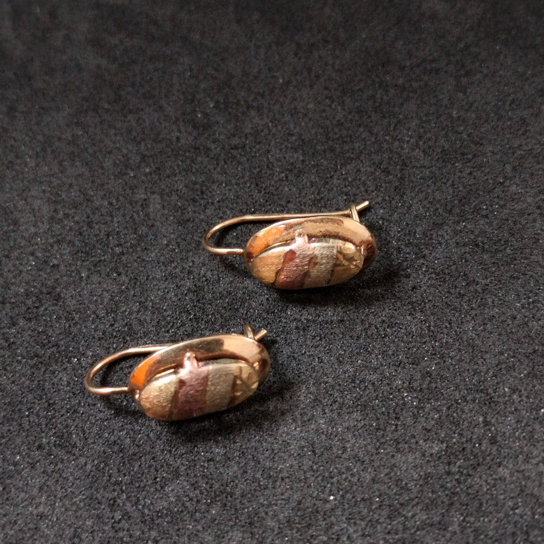 ARETES PAR ORO 10 K 1,80 GRMS (SEMINUEVO)
