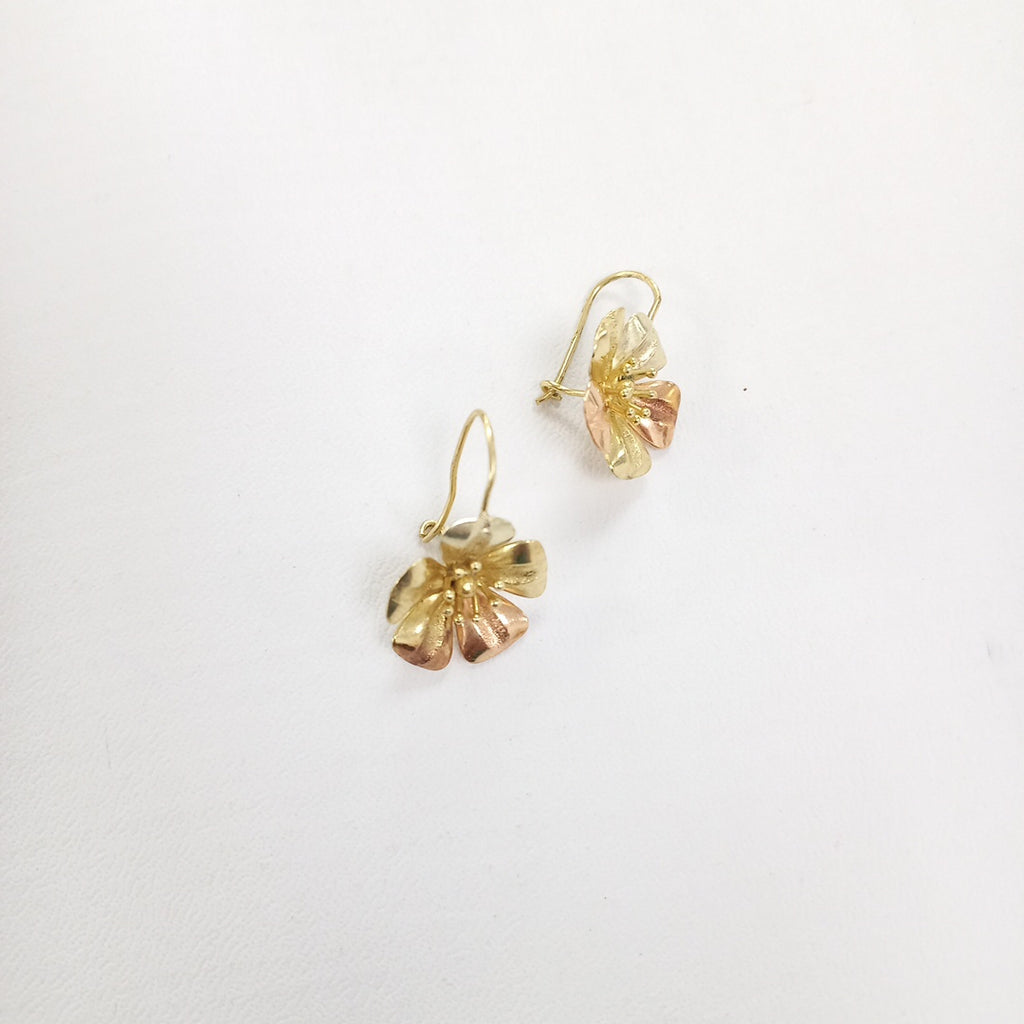 ARETES PAR ORO 14 K 3.3 GRMS (SEMINUEVO)
