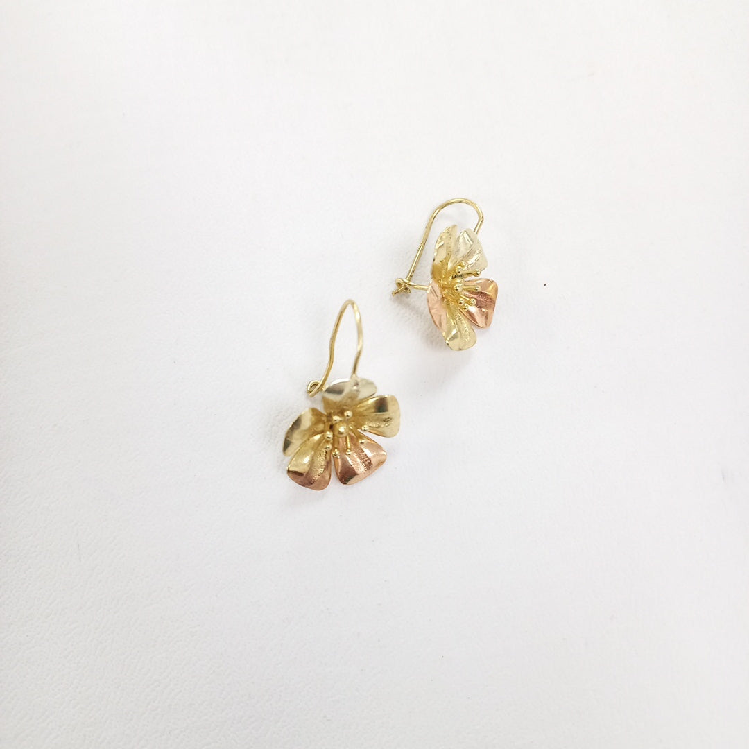 ARETES PAR ORO 14 K 3.3 GRMS (SEMINUEVO)