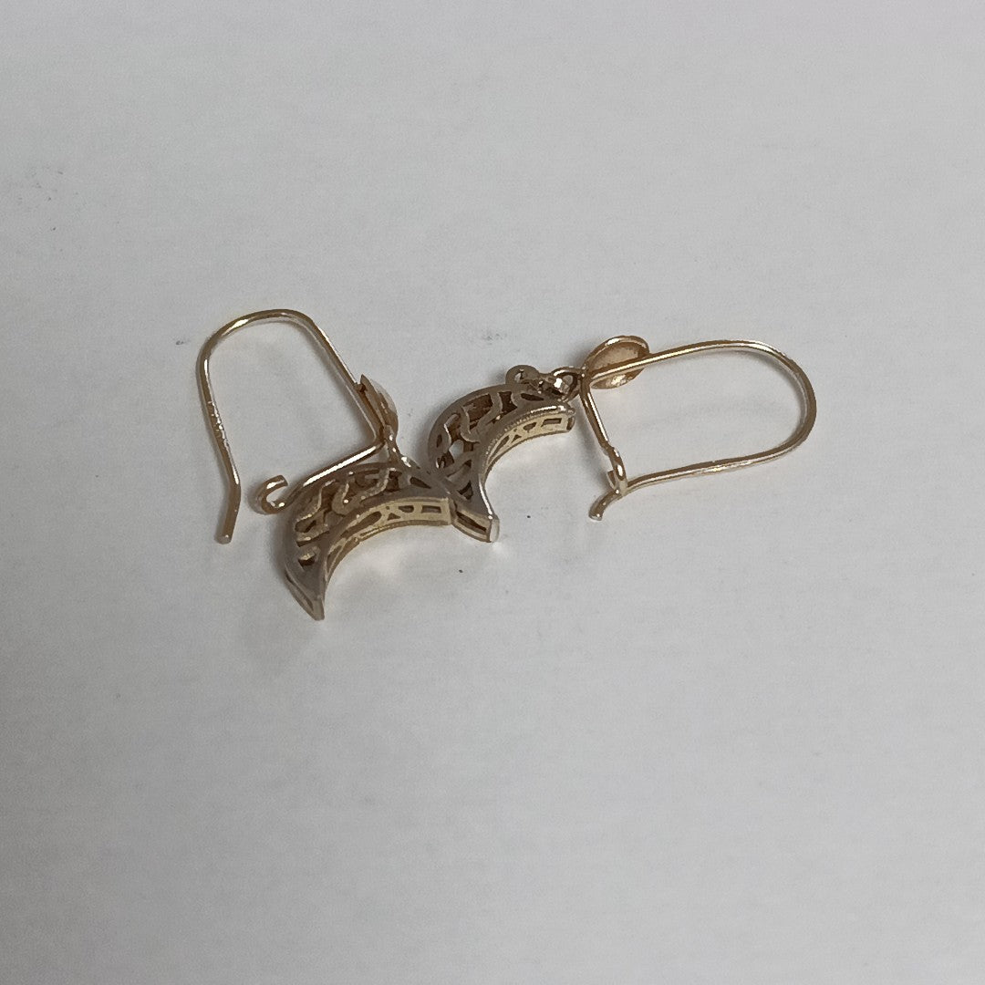 ARETES PAR ORO 10 K 1.2 GRMS (SEMINUEVO)