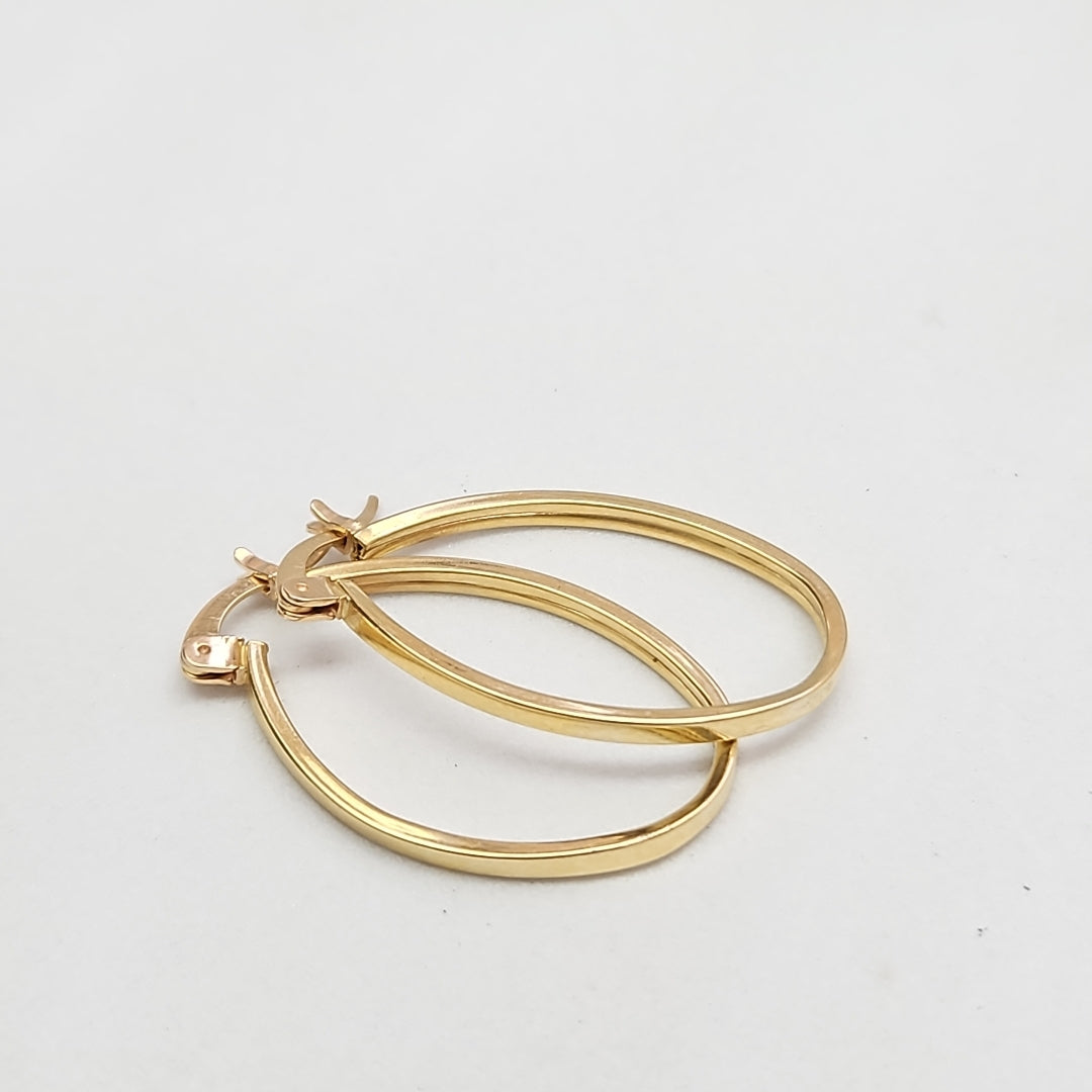 ARRACADAS PAR ORO 10 K 2,40 GRMS (SEMINUEVO)