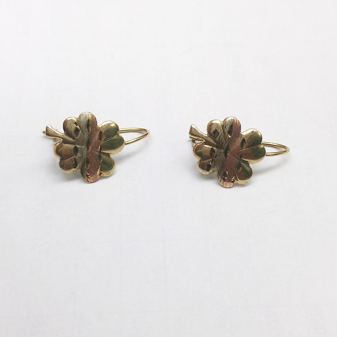 ARETES PAR ORO, ORO COMBINADO 10 K 1.1 GRMS (SEMINUEVO)