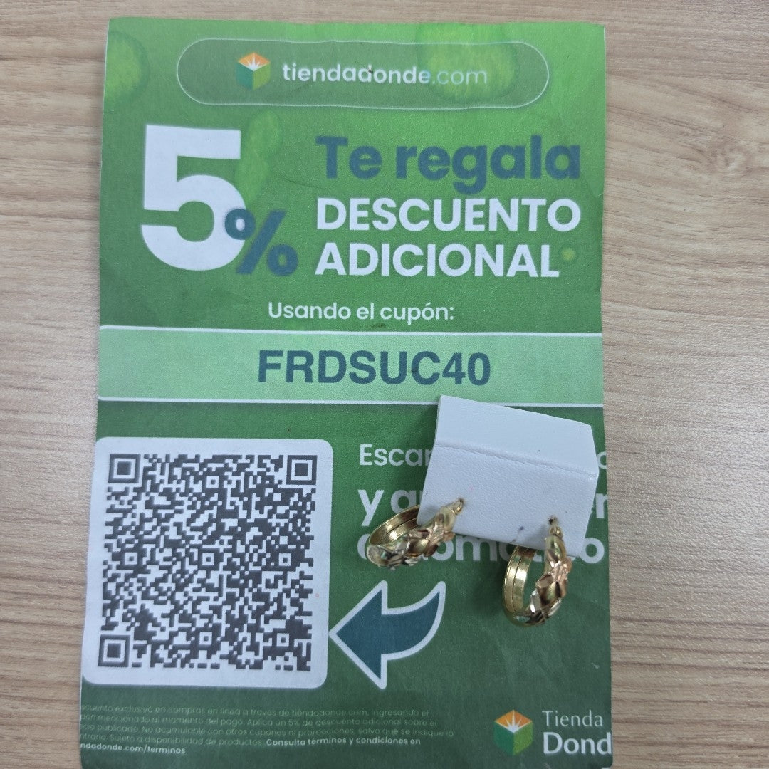 ARRACADAS PAR ORO 10 K 3.5 GRMS (SEMINUEVO)