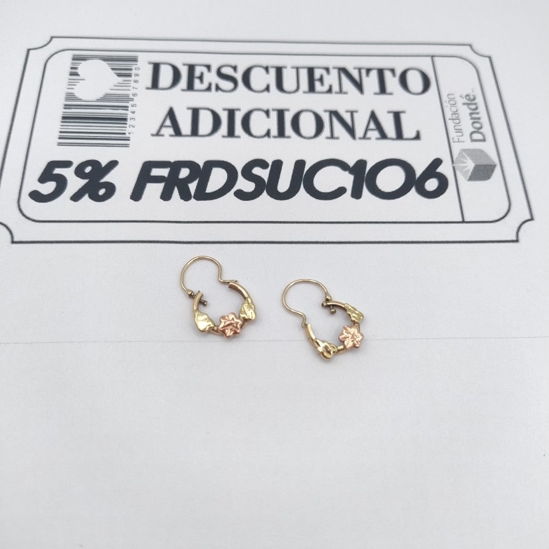 ARETES PAR ORO 10 K 1.7 GRMS (SEMINUEVO)