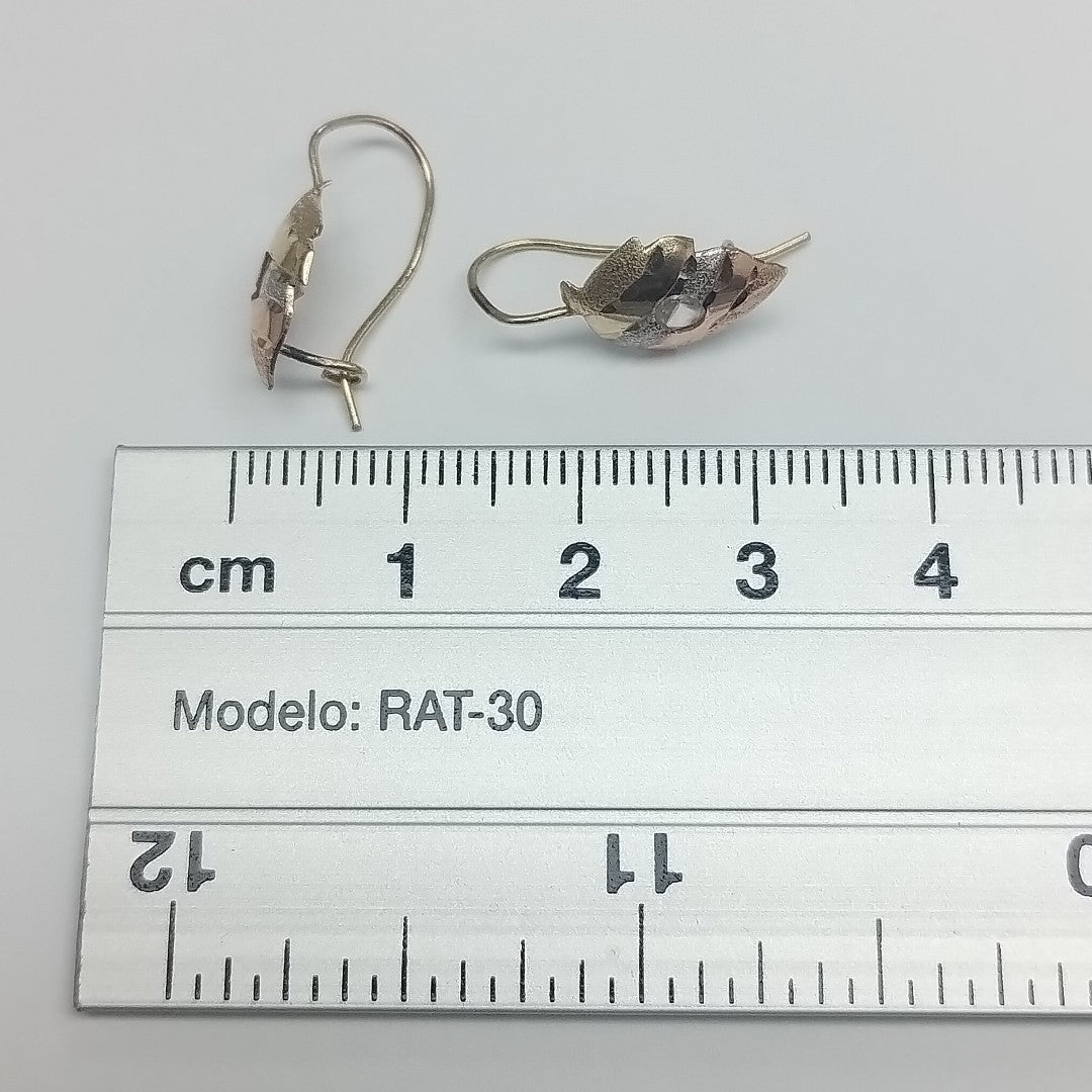 ARETES PAR ORO 10 K 1,00 GRMS (SEMINUEVO)