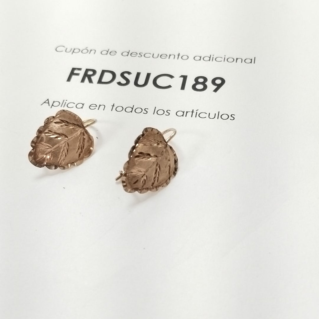 ARETES PAR ORO 10 K 2.1 GRMS (SEMINUEVO)