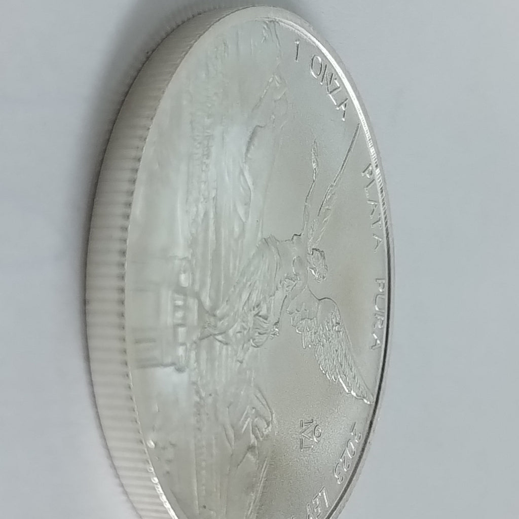 MEDALLA CONMEMORATIVA PLATA 31 GRMS (SEMINUEVO)