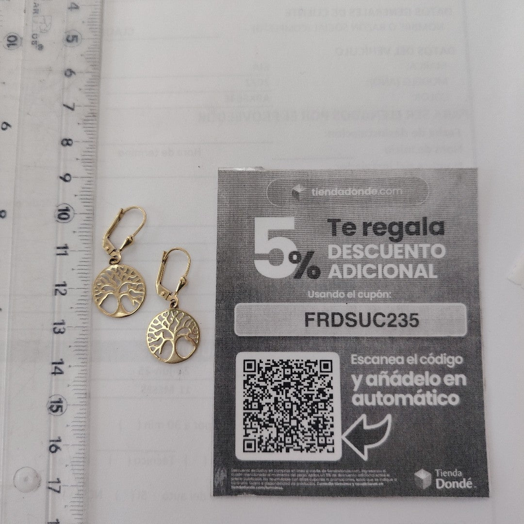 ARETES PAR ORO 10 K 1,90 GRMS (SEMINUEVO)