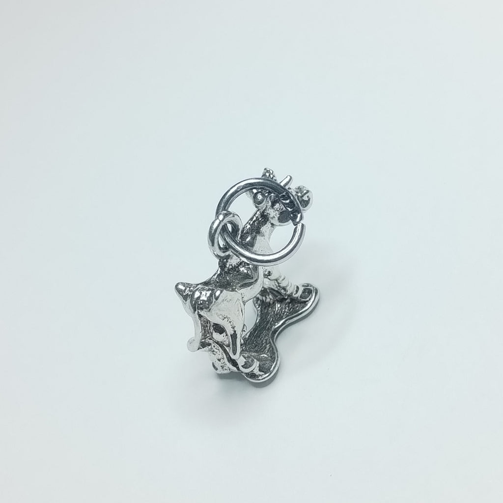 DIJE PLATA 4,80 GRMS (SEMINUEVO)