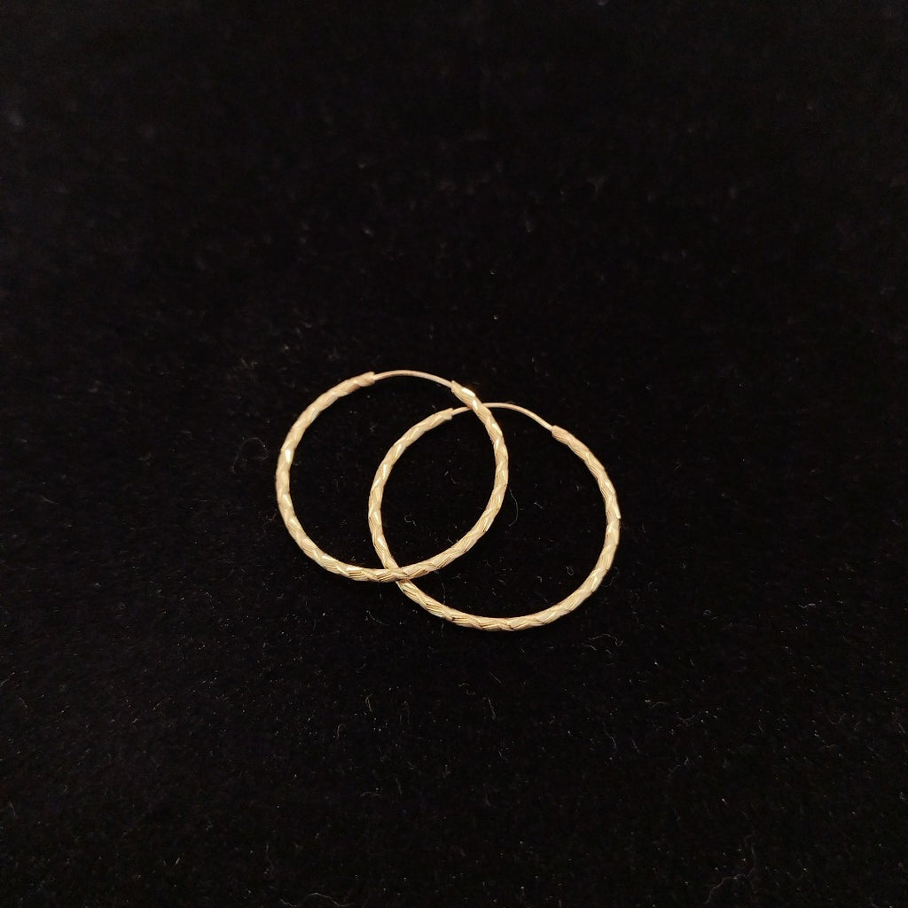ARRACADAS PAR ORO 10 K 0.7 GRMS (SEMINUEVO)