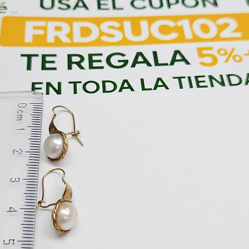 ARETES PAR ORO 10 K 2,40 GRMS (SEMINUEVO)