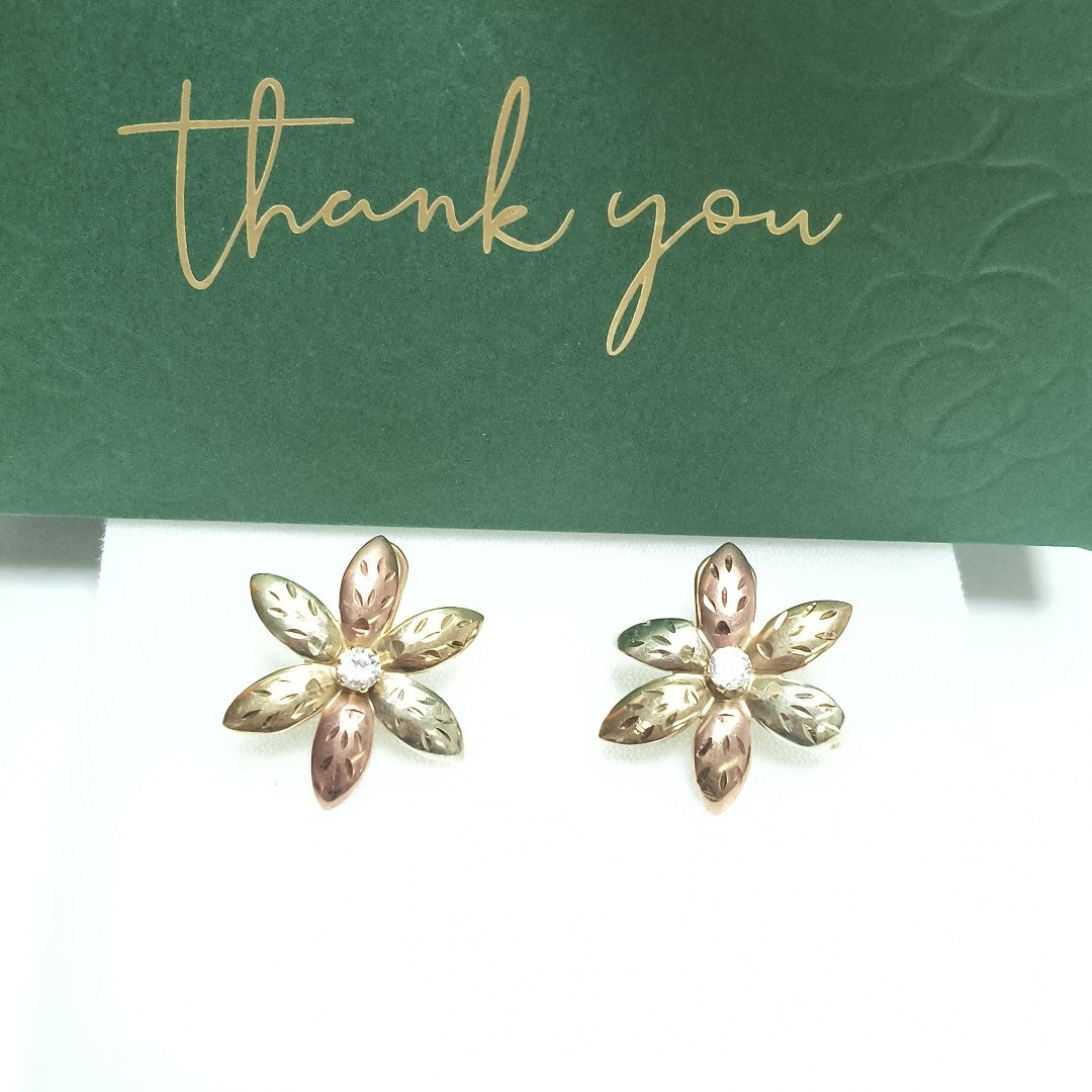 ARETES PAR ORO 10 K 4 GRMS (SEMINUEVO)
