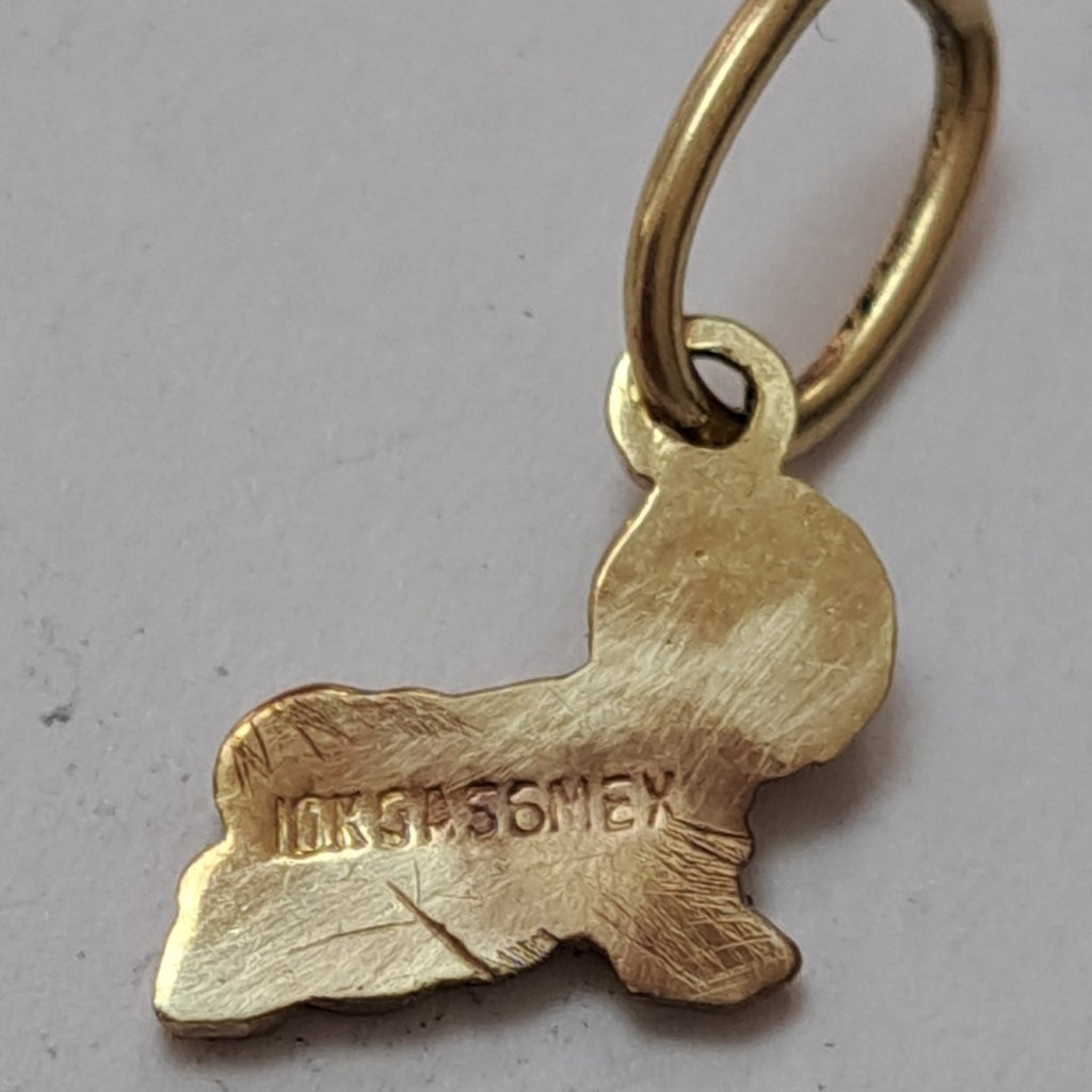 DIJE ORO 10 K 0,80 GRMS (SEMINUEVO)