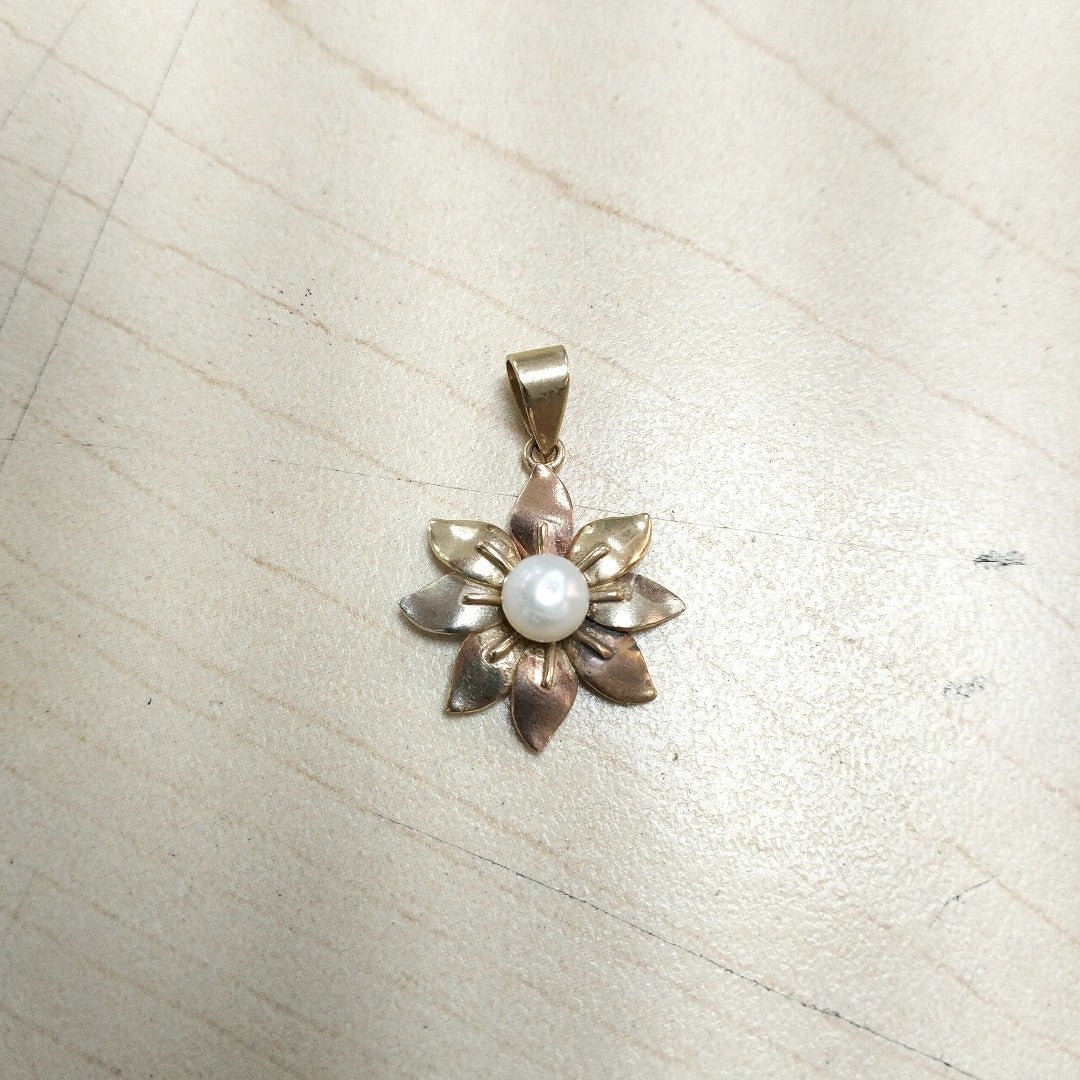 DIJE ORO COMBINADO 10 K 2,00 GRMS (SEMINUEVO)