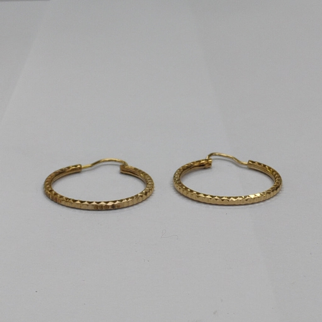 ARRACADAS PAR ORO 10 K 2 GRMS (SEMINUEVO)
