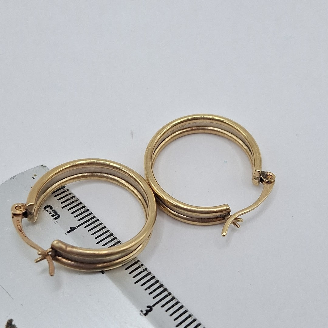 ARETES PAR ORO 10 K 3.7 GRMS (SEMINUEVO)