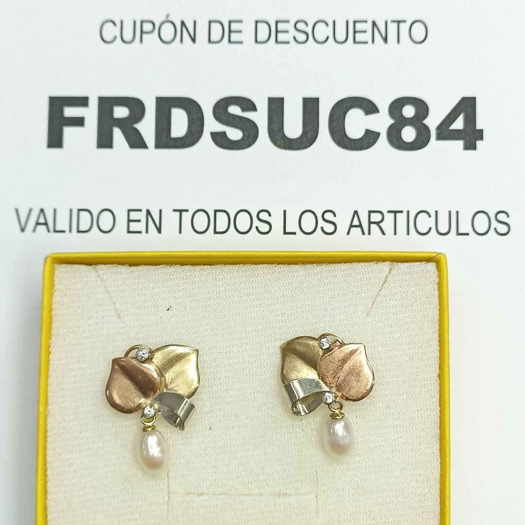 ARETES PAR ORO 10 K 4,40 GRMS (SEMINUEVO)