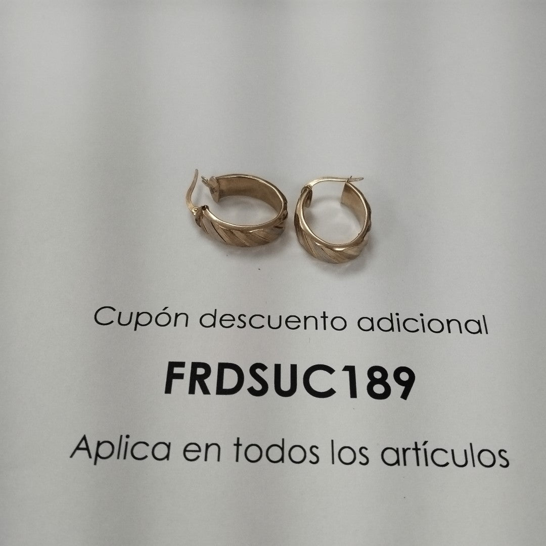 ARRACADAS PAR ORO 10 K 2.8 GRMS (SEMINUEVO)