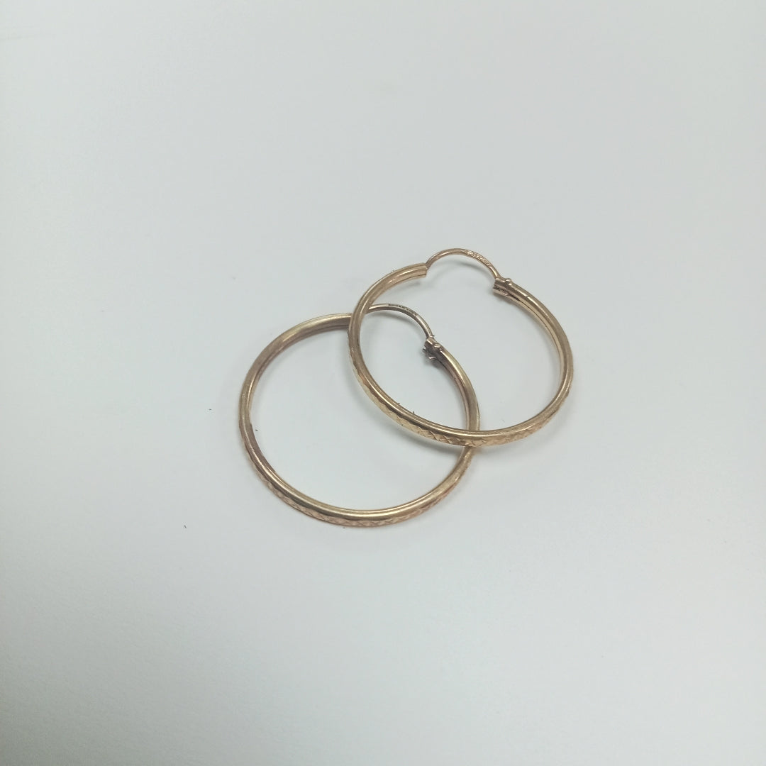 ARRACADAS PAR ORO 10 K 1,70 GRMS (SEMINUEVO)