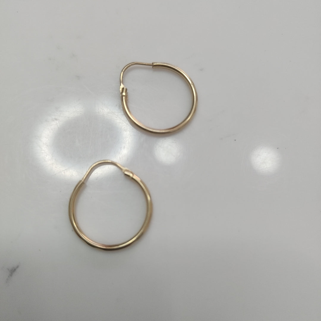 ARETES PAR ORO 10 K 1.1 GRMS (SEMINUEVO)