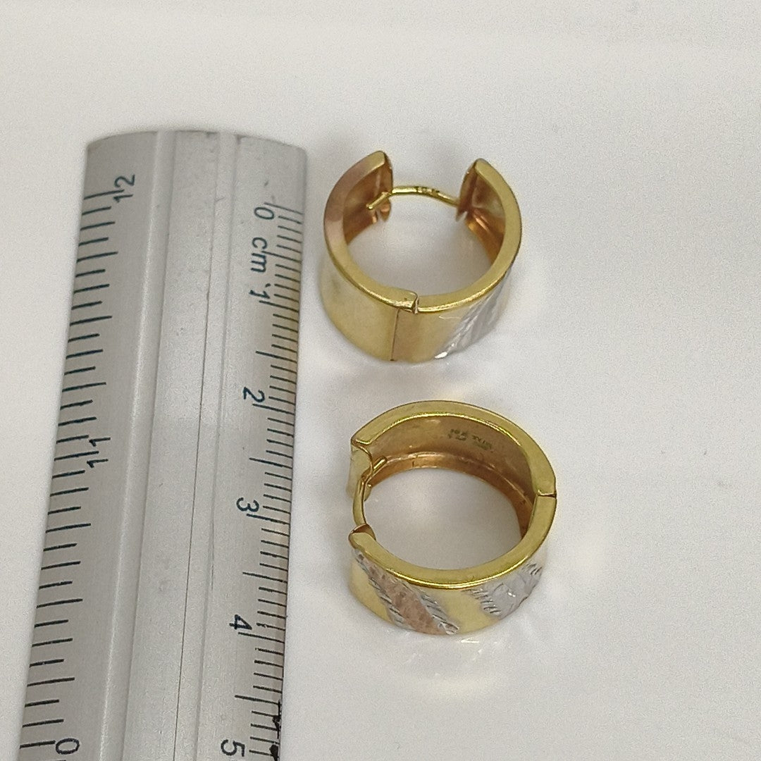 ARETES PAR ORO 10 K 2,60 GRMS (SEMINUEVO)