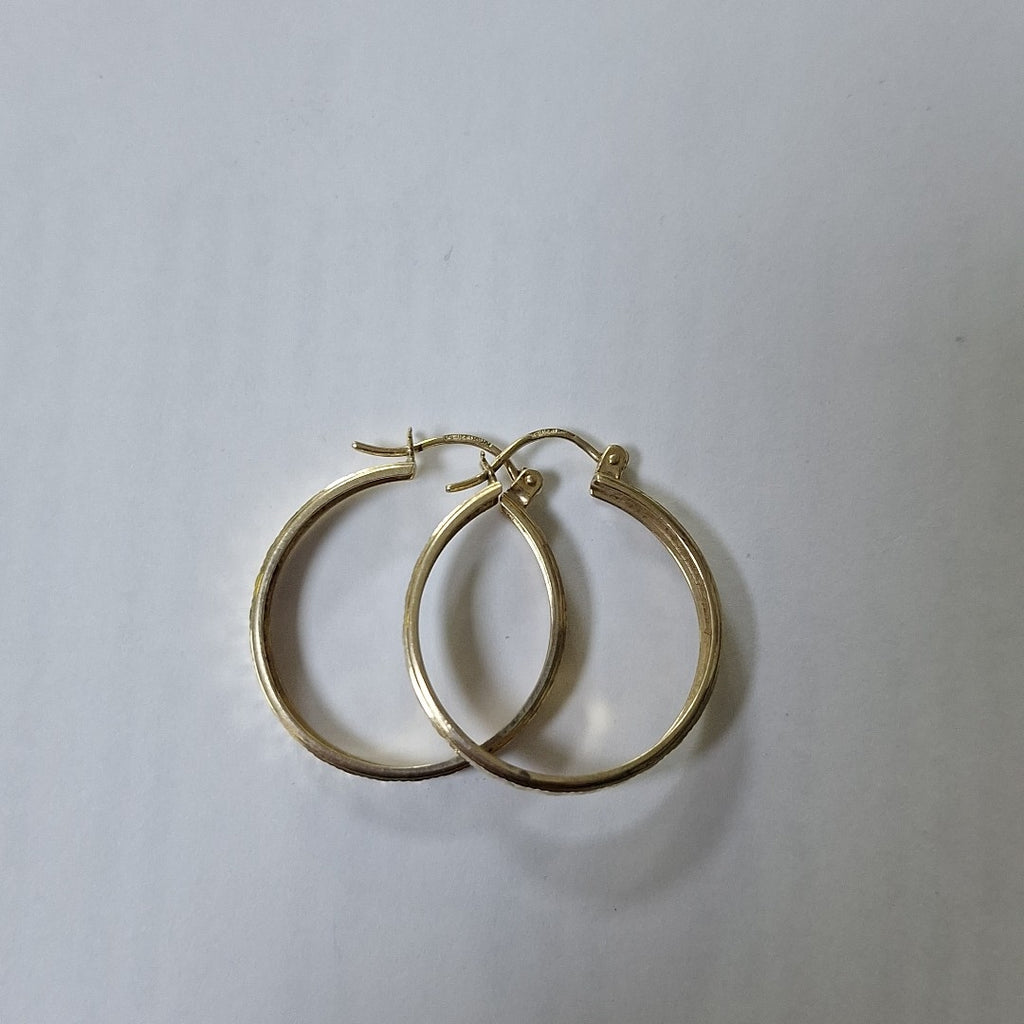 ARRACADAS PAR ORO 10 K 2,70 GRMS (SEMINUEVO)