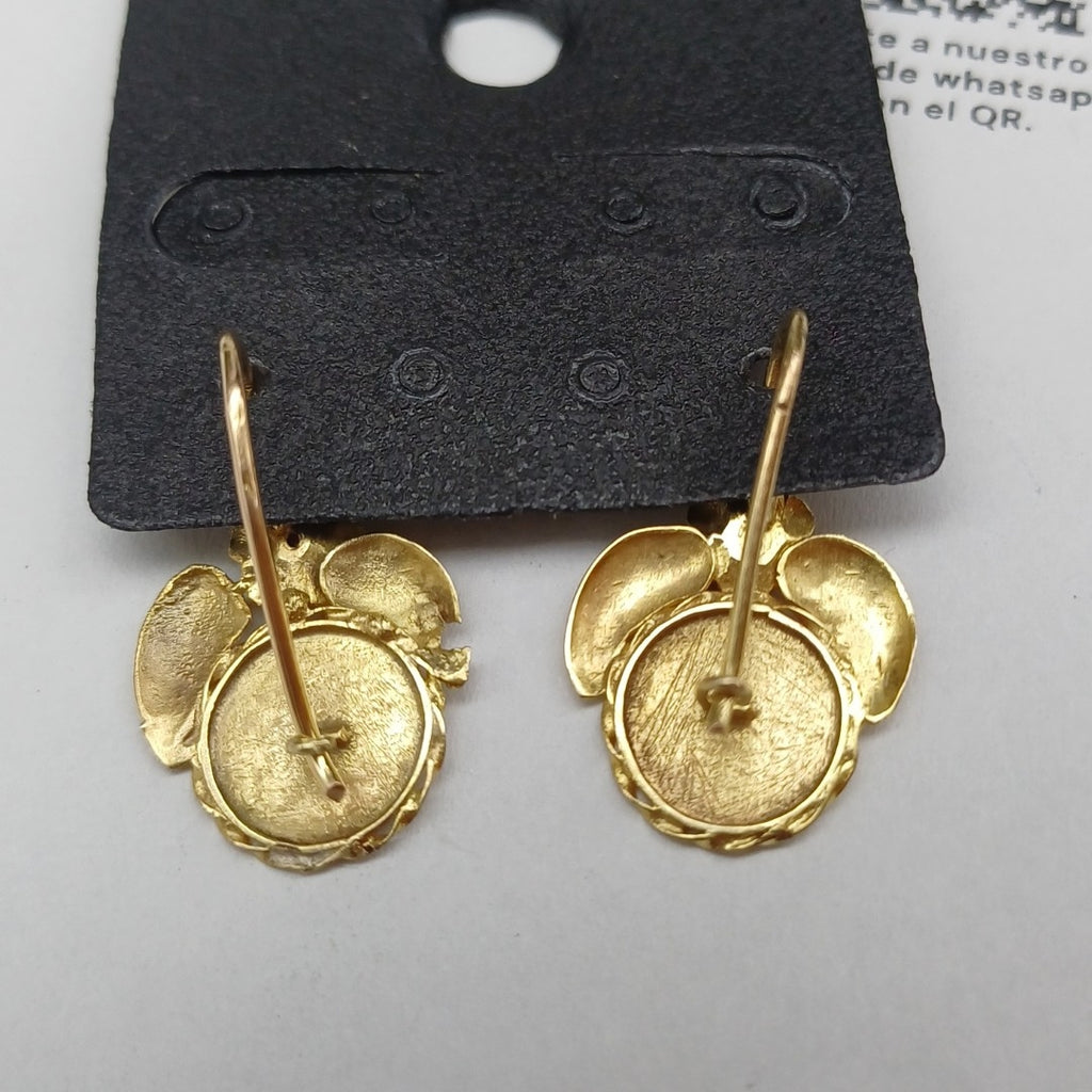 ARETES PAR ORO 10 K 2 GRMS (SEMINUEVO)