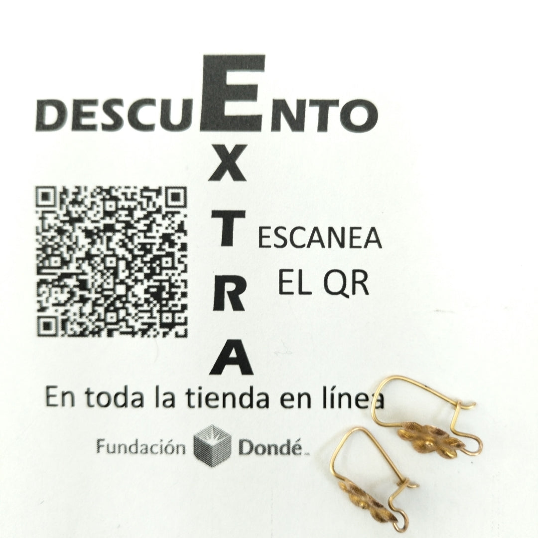 ARETES PAR ORO 10 K 1 GRMS (SEMINUEVO)