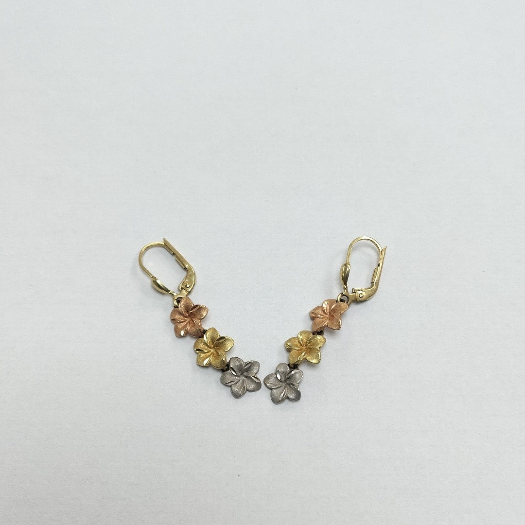 ARETES PAR ORO 14 K 3.1 GRMS (SEMINUEVO)