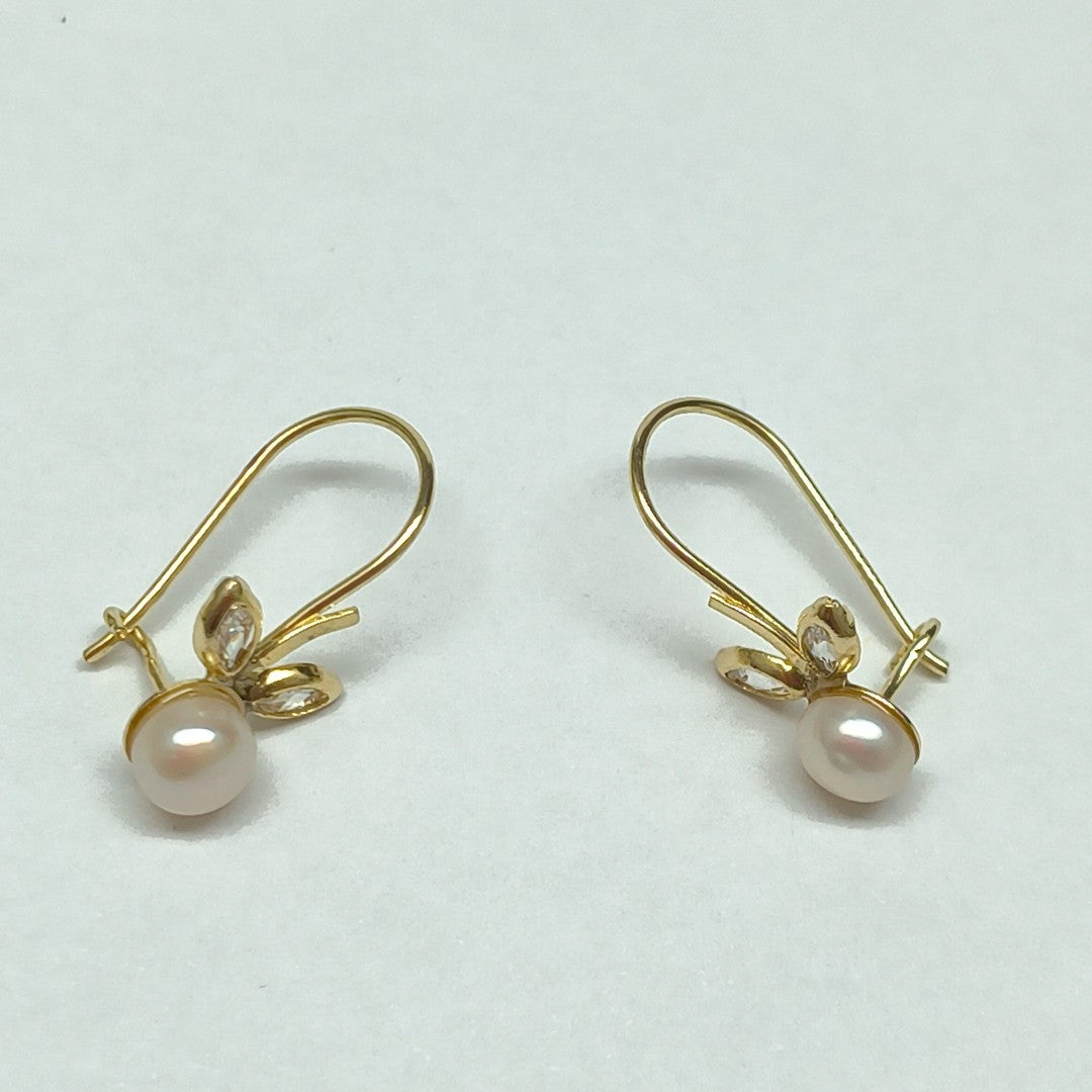 ARETES PAR ORO 10 K 1,00 GRMS (SEMINUEVO)