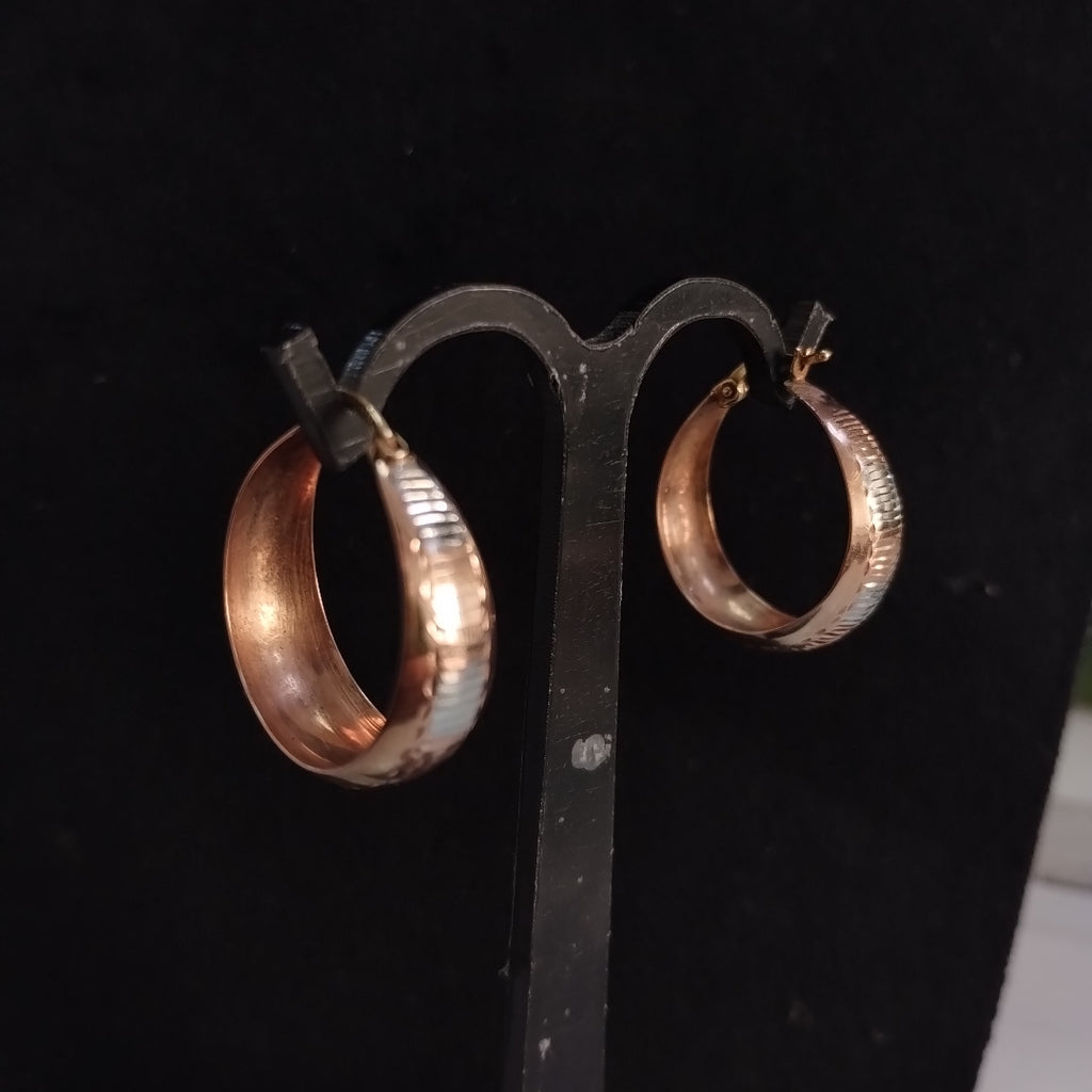 ARETES PAR ORO 10 K 3,40 GRMS (SEMINUEVO)