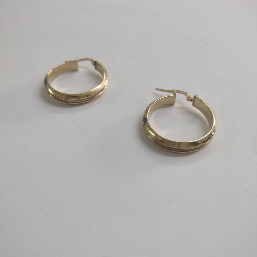 ARRACADAS PAR ORO 14 K 4.2 GRMS (SEMINUEVO)