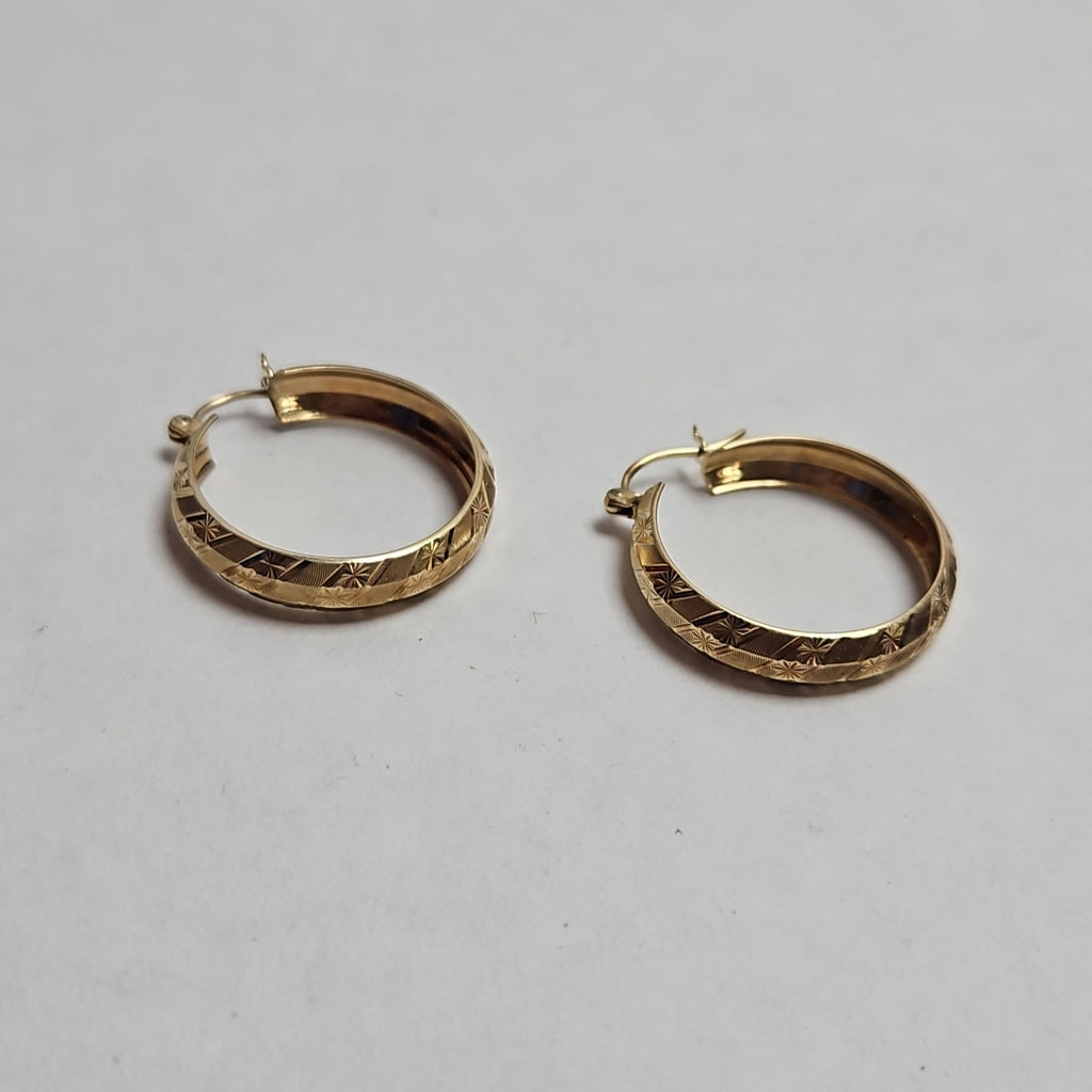 ARRACADAS PAR ORO 10 K 3.4 GRMS (SEMINUEVO)