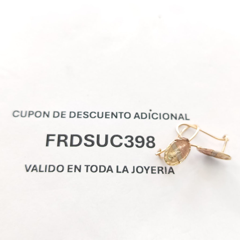 ARETES PAR ORO 10 K 1.2 GRMS (SEMINUEVO)