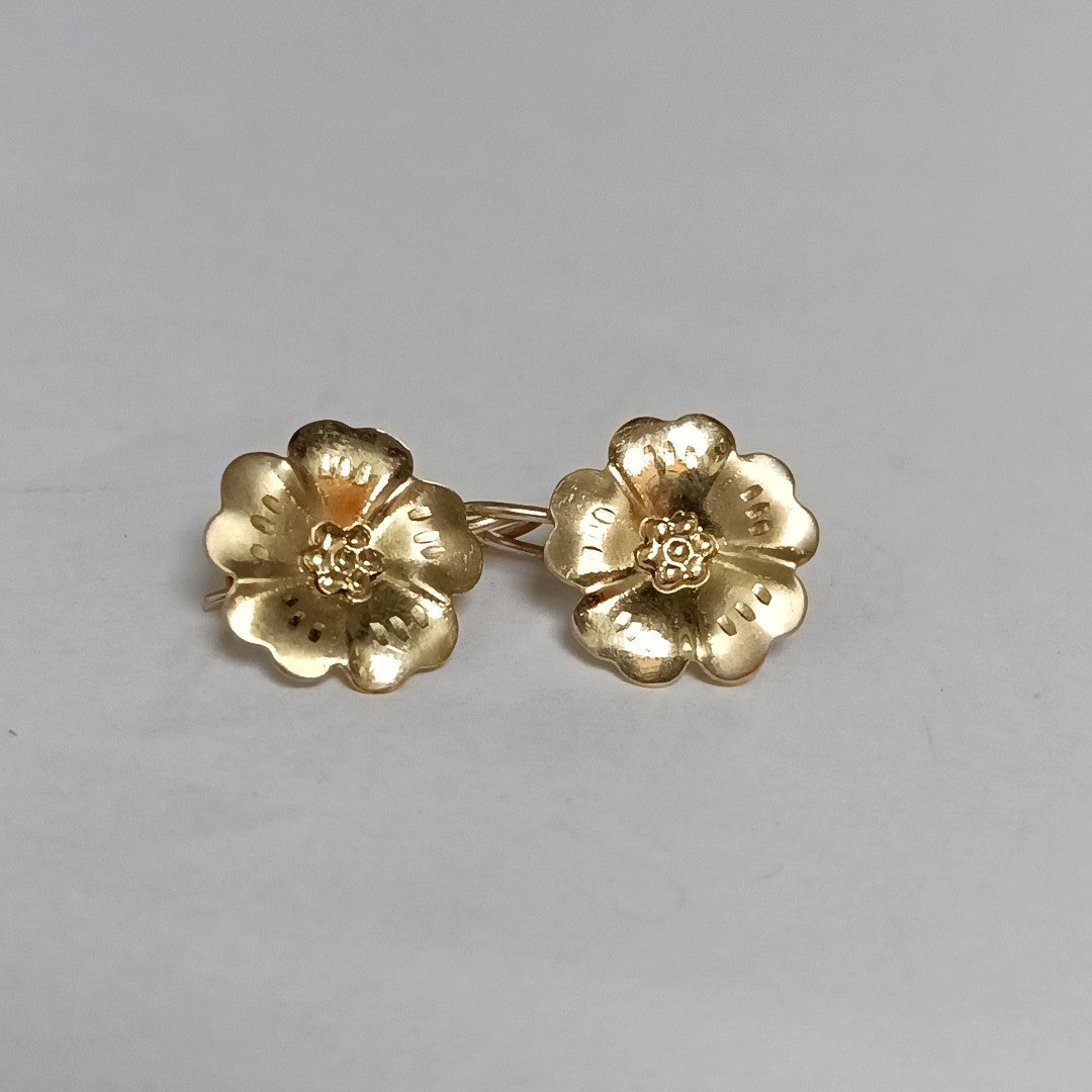 ARETES PAR ORO 10 K 1.7 GRMS (SEMINUEVO)