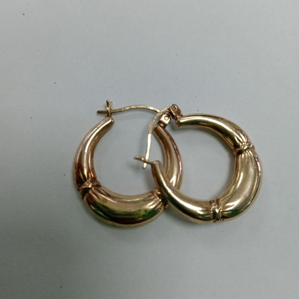 ARRACADAS PAR ORO 10 K 2.5 GRMS (SEMINUEVO)
