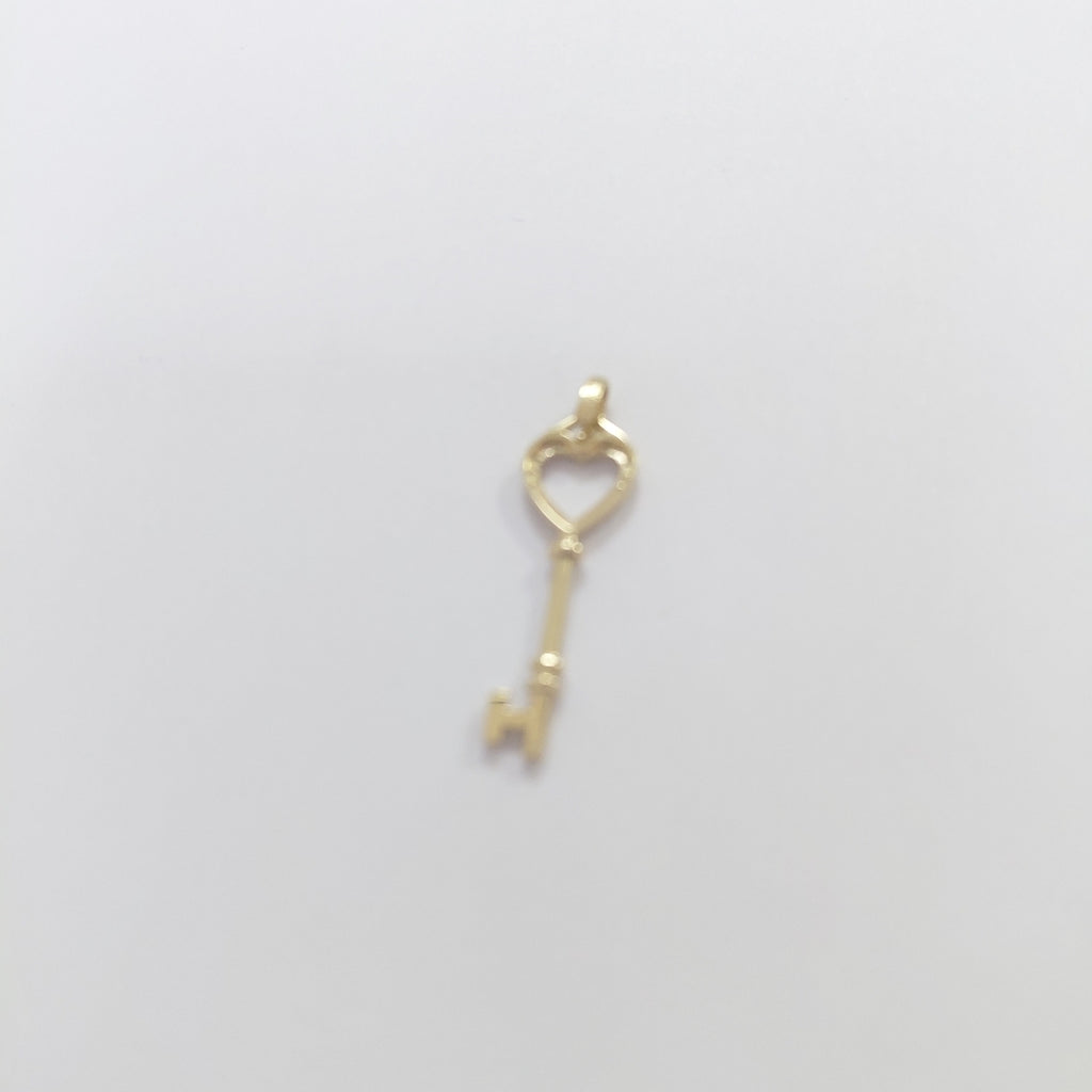 DIJES ORO 14K 1 (NUEVO)