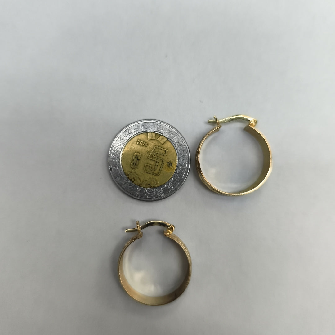 ARRACADAS PAR ORO 10 K 4,30 GRMS (SEMINUEVO)