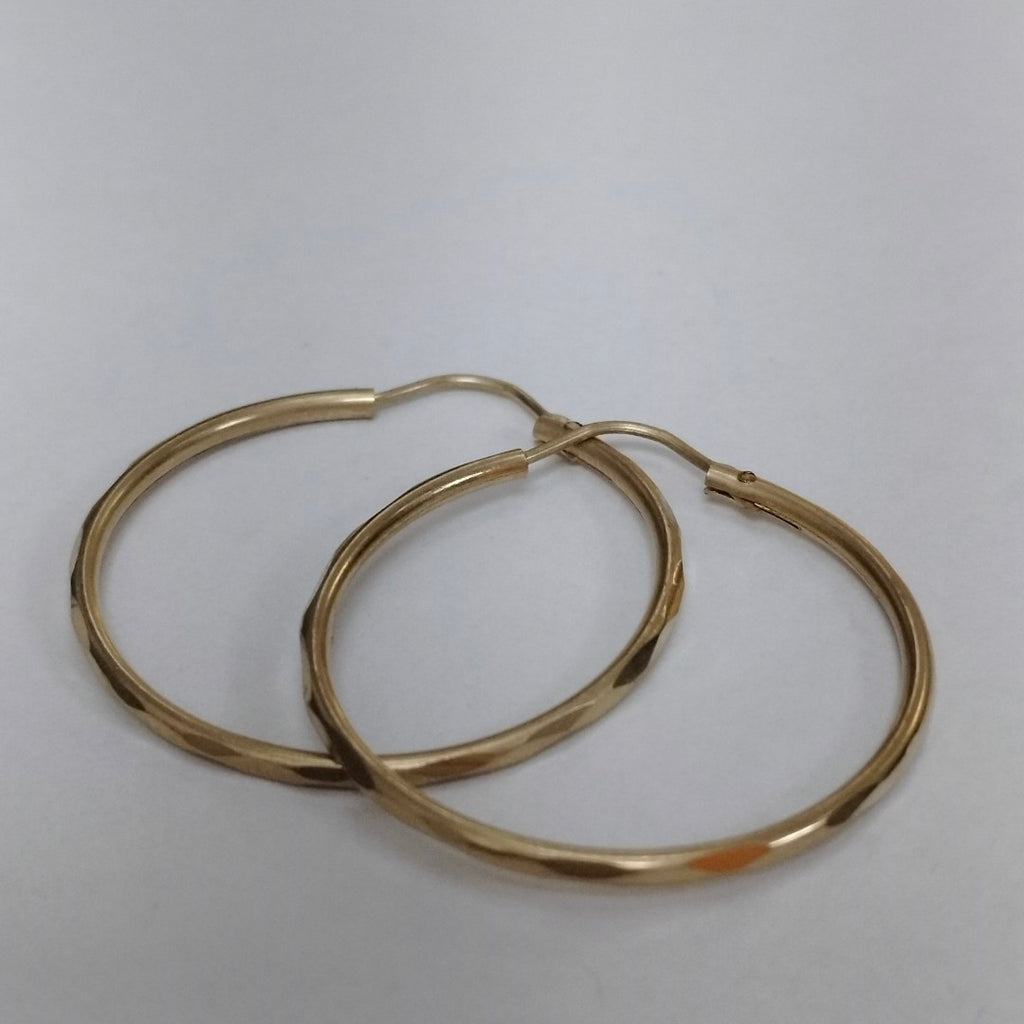 ARRACADAS PAR ORO 10 K 1.8 GRMS (SEMINUEVO)