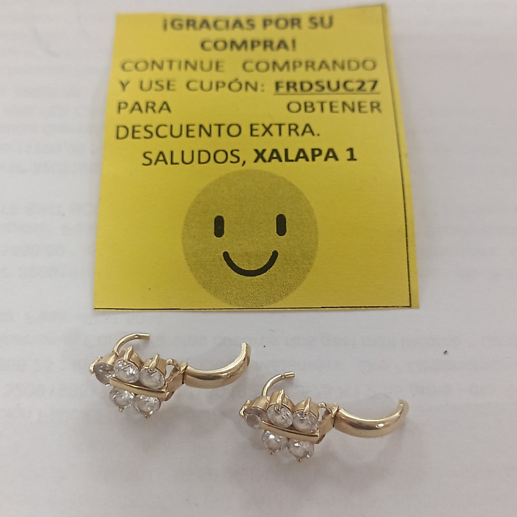 ARETES PAR ORO 10 K 3,00 GRMS (SEMINUEVO)