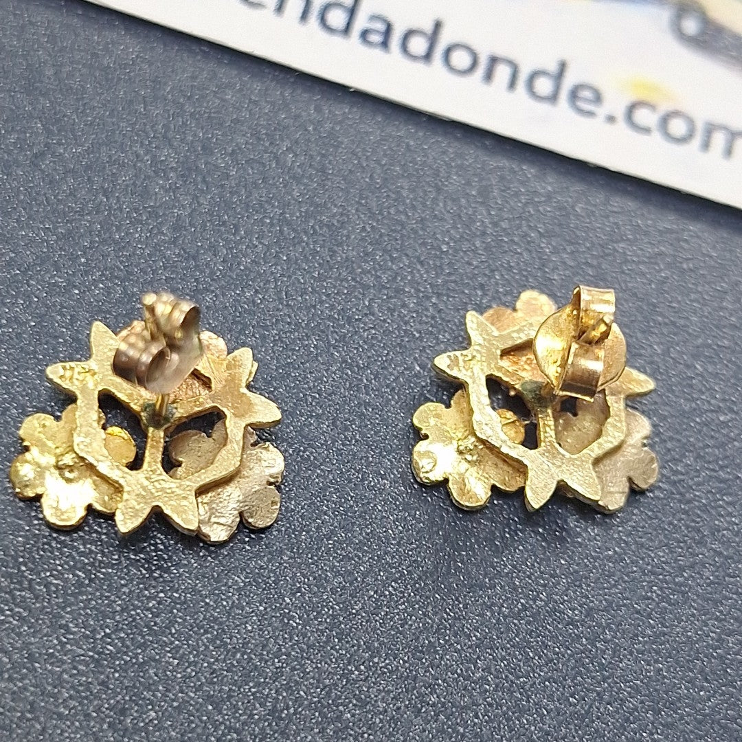 ARETES PAR ORO 10 K 2,90 GRMS (SEMINUEVO)