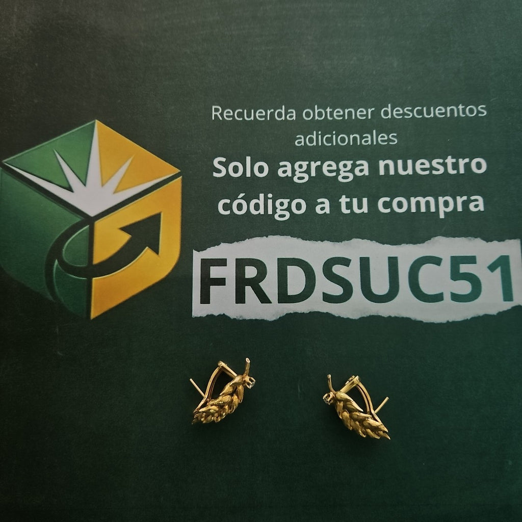 ARETES PAR ORO 18 K 11.1 GRMS (SEMINUEVO)