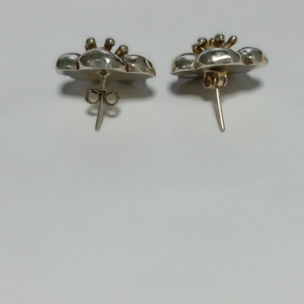 ARETES PAR PLATA 11.8 GRMS (SEMINUEVO)