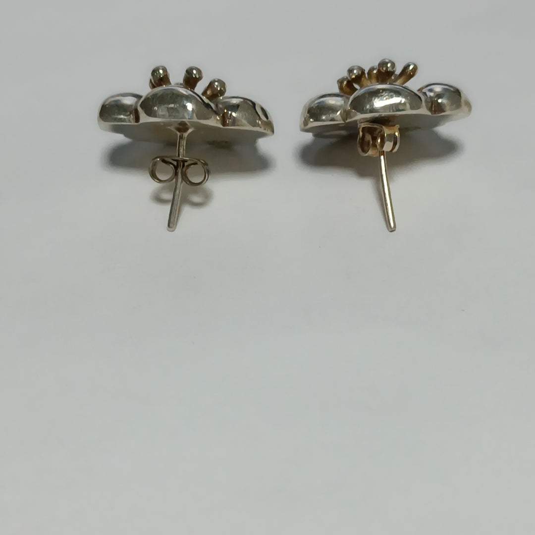 ARETES PAR PLATA 11.8 GRMS (SEMINUEVO)
